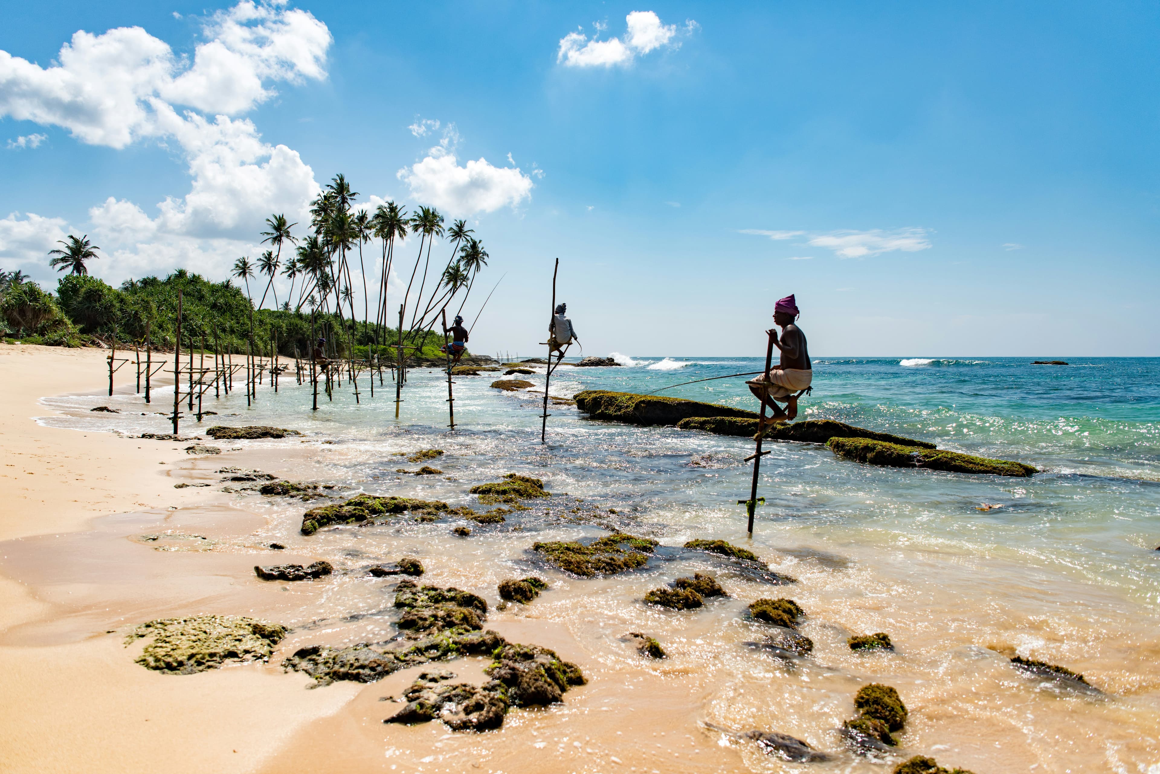 11 Days - Ancient Cities, Hill Country, Wildlife & Southern Coast